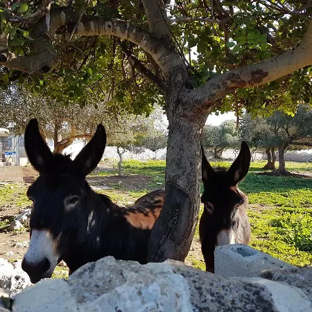 Masseria Modica Ispica